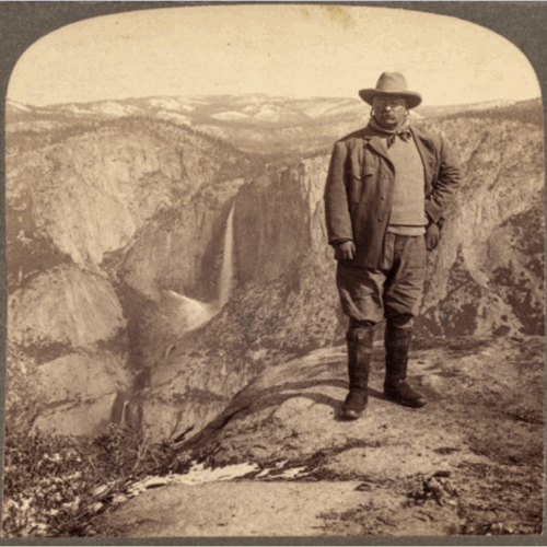 [Image: Yosemite_teddy_3D.gif]