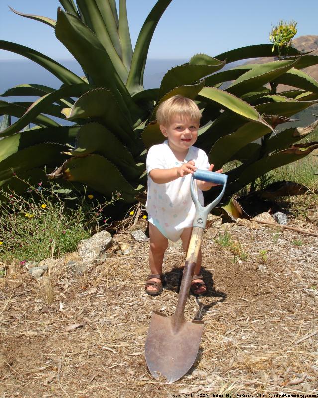 Shovel