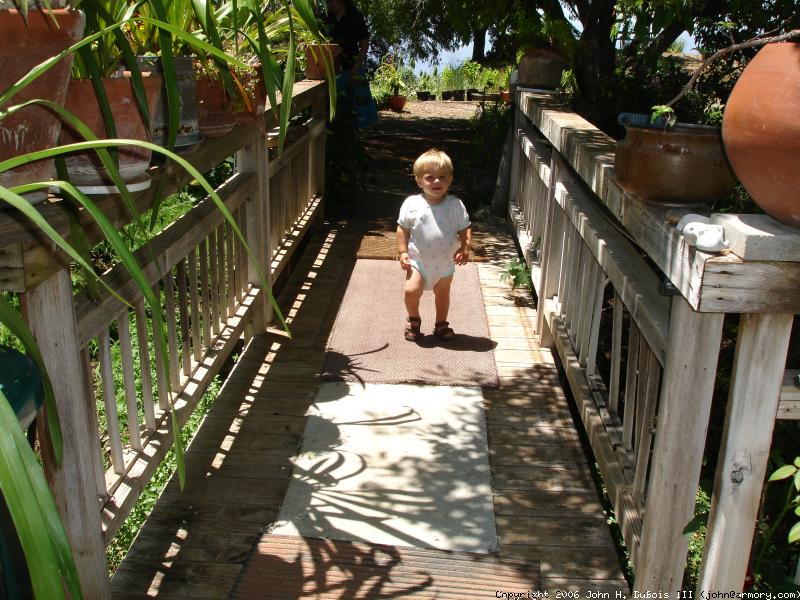 Bridge