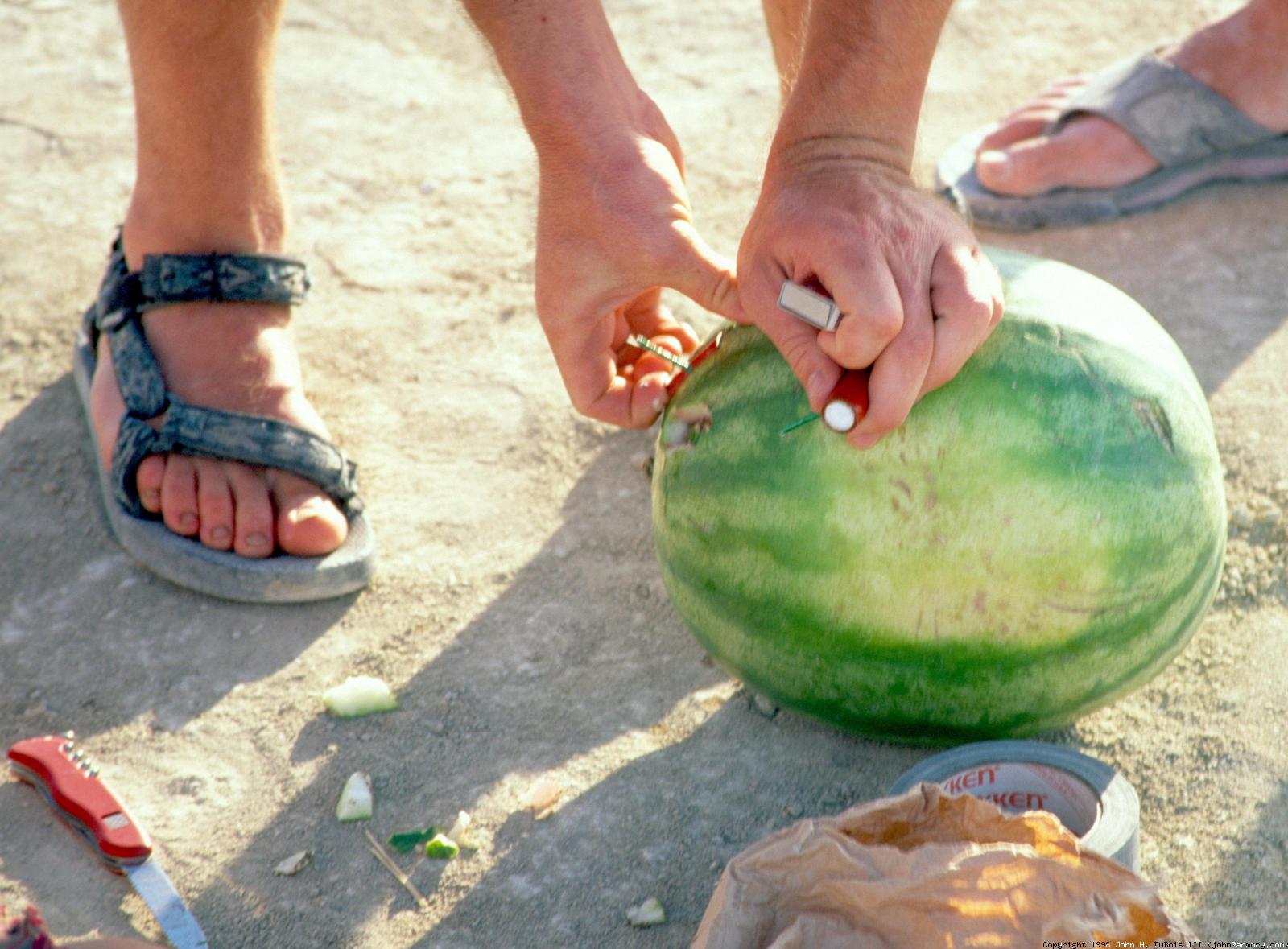 Loading Watermelon