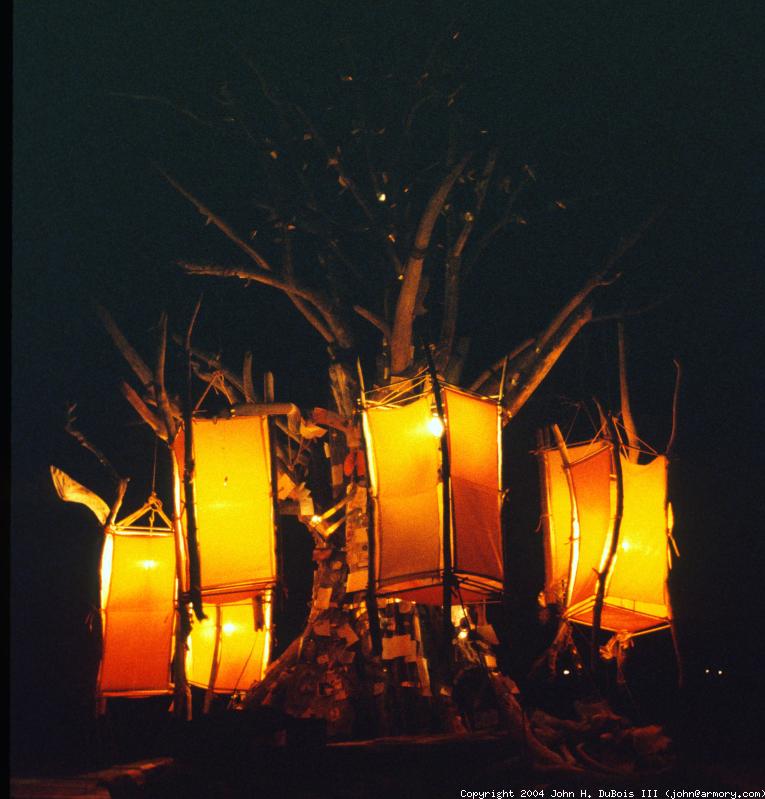 Lantern Tree