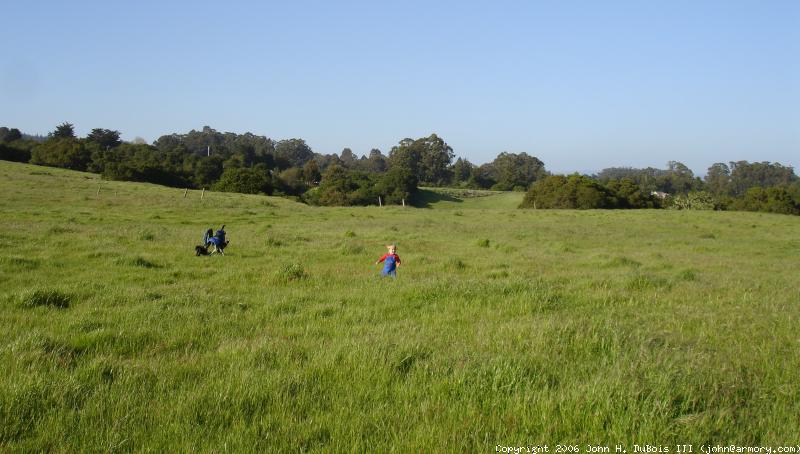 Moore Creek Prairie