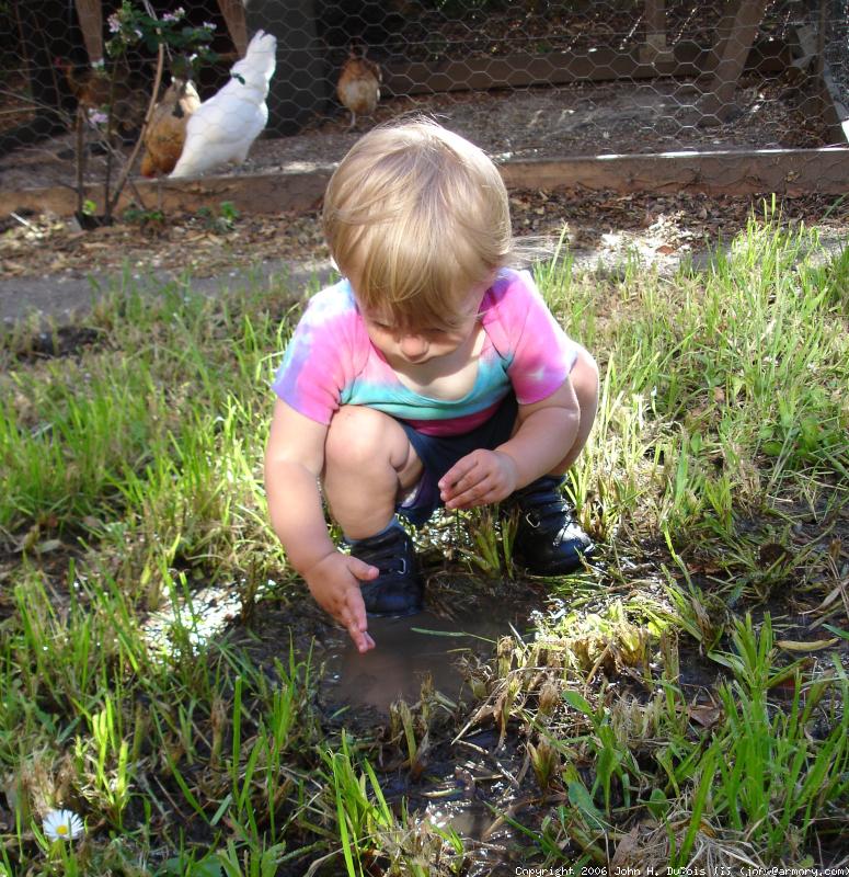 Playing in the Mud