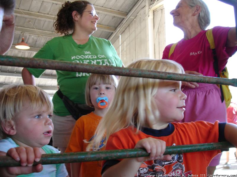 Animal Barn