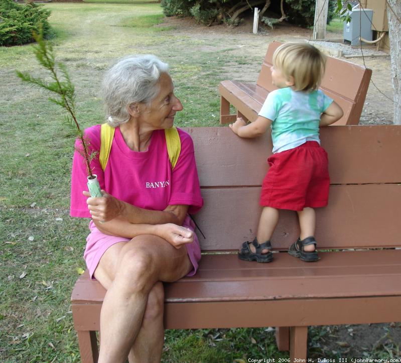 Grandma Bench