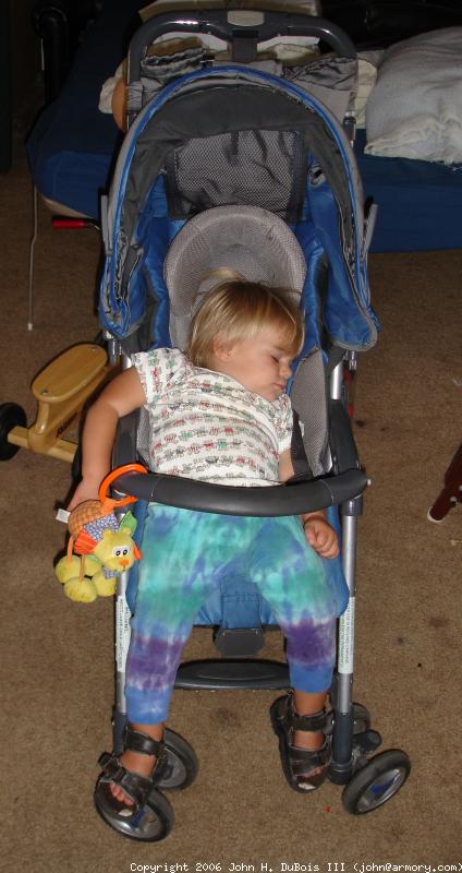 Stroller Sleep