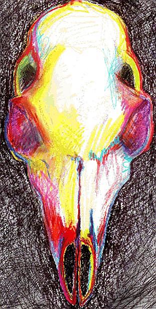A deer's skull rendered in colored pencil