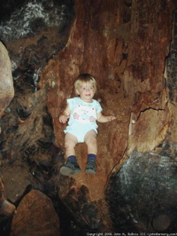 John in a Redwood Tree