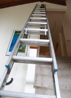 Leela Likes Ladders