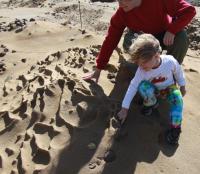 Sandstone Ripples