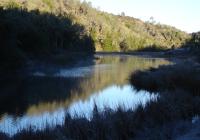 Lake from Upstream