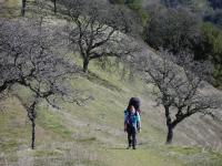 Liz Uphill