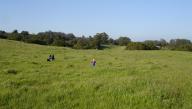 Moore Creek Prairie