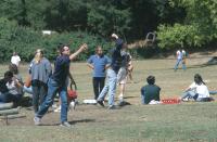 stevewi - Horseshoes