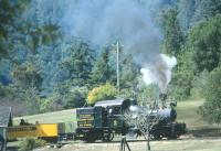 Steam Train