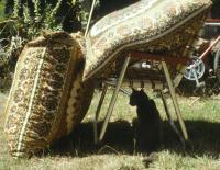 Under the Lawn Chair