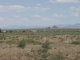 80-3.jpg